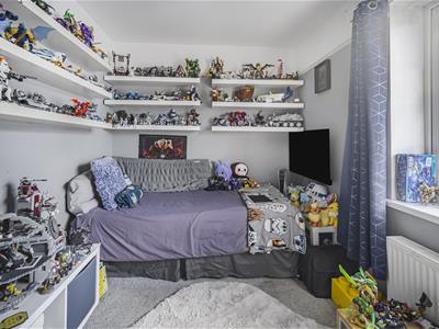 Picture 15